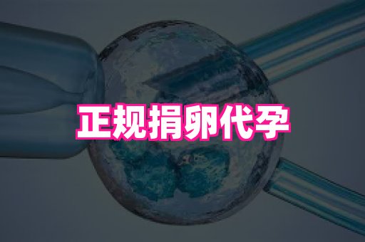 哈尔滨助孕网 3
